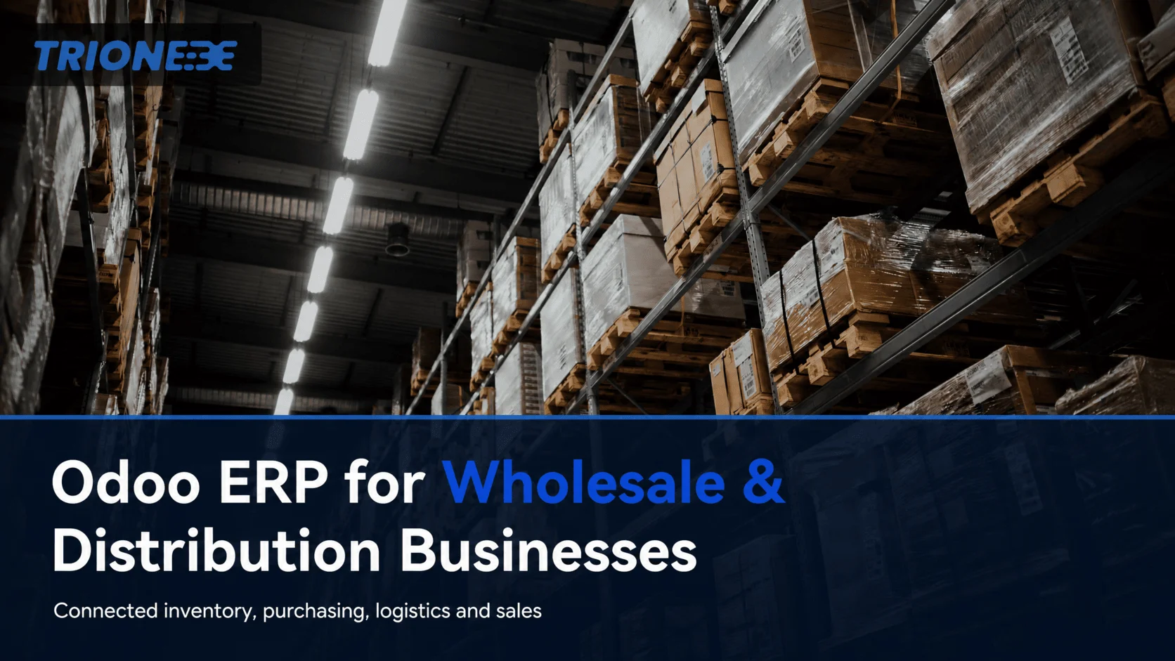 Odoo for wholesale businesses