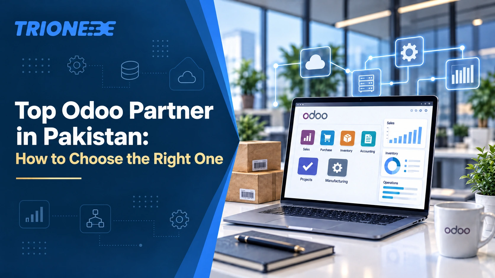Top Odoo Partner
